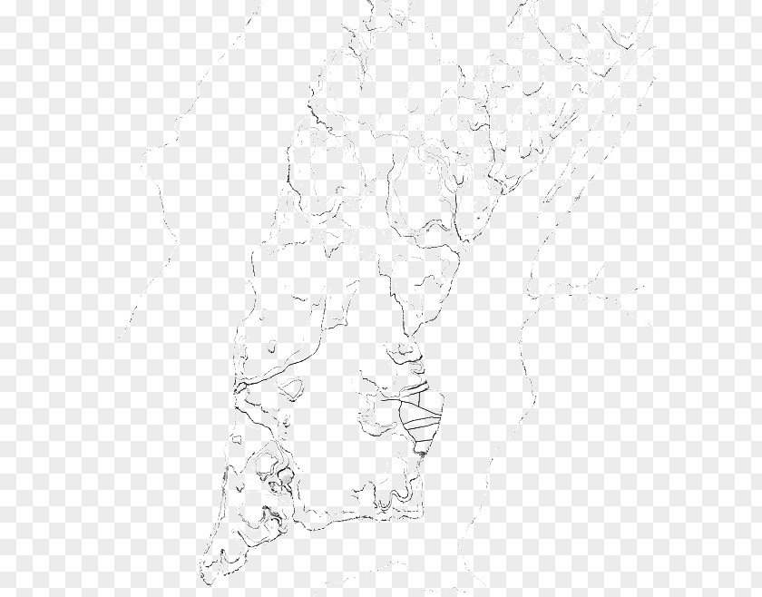 Topography Figure Drawing Line Art White Sketch PNG