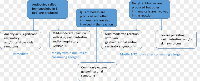 Allergy Communication Organization Technology Diagram Font PNG