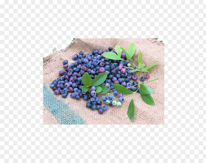 Blueberries On Linen Blueberry Fruit Seed Vaccinium Corymbosum PNG