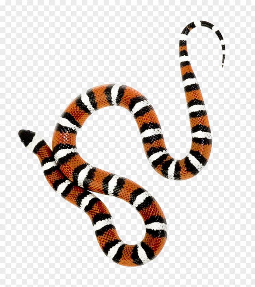 Snake Milk PNG