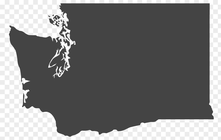 State Power Flag Of Washington Map EverStar Realty Belgium PNG