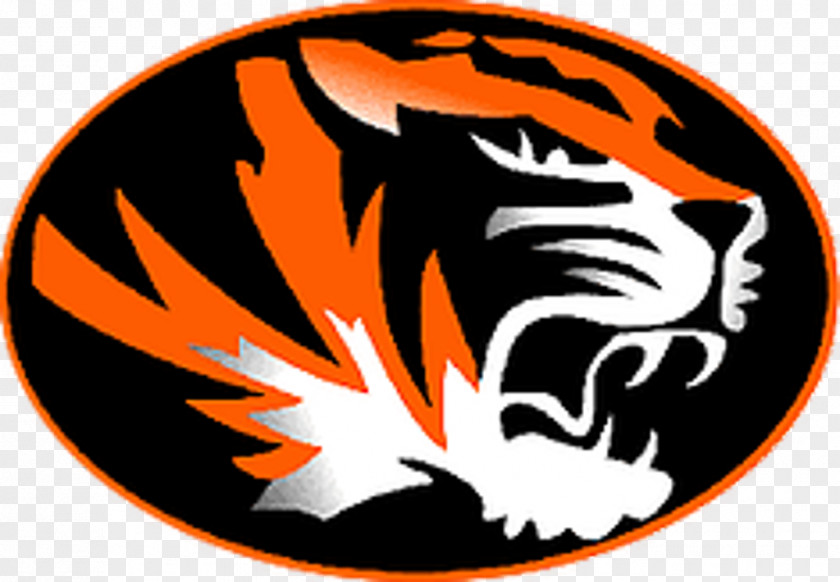 Tiger Tiger's Eye Logo PNG