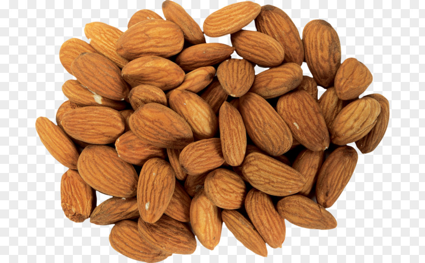 Almond Milk Nut Food Oil PNG