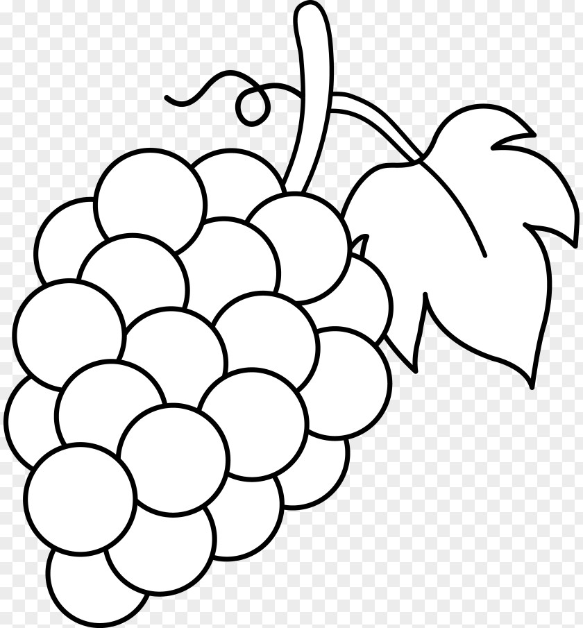Grape Leaf Cliparts Common Vine Wine Juice Clip Art PNG