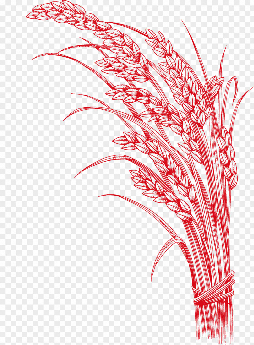 Grind Wheat Rice Five Grains Cereal PNG