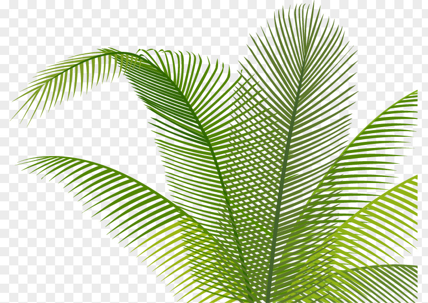 Hand Painted Green Leaves Leaf PNG