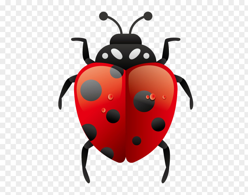 Ladybug Environmental Protection Clip Art PNG