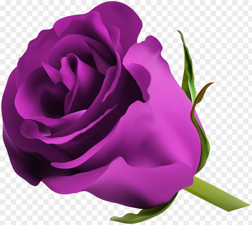 Rose Blue Flower Clip Art PNG