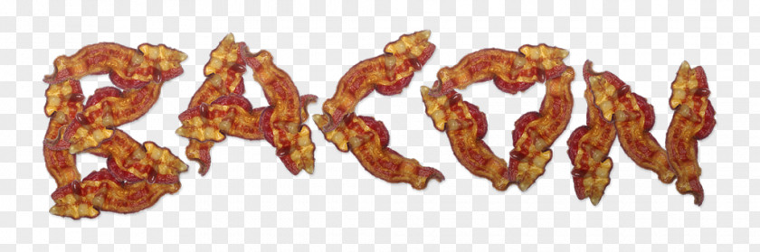 Bacon Body Jewellery PNG