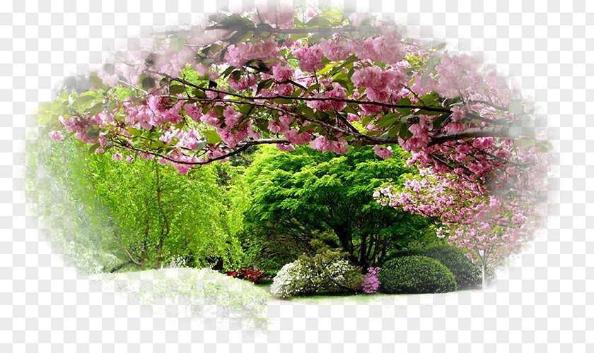 Desktop Wallpaper High-definition Television Display Resolution Garden Mobile Phones PNG