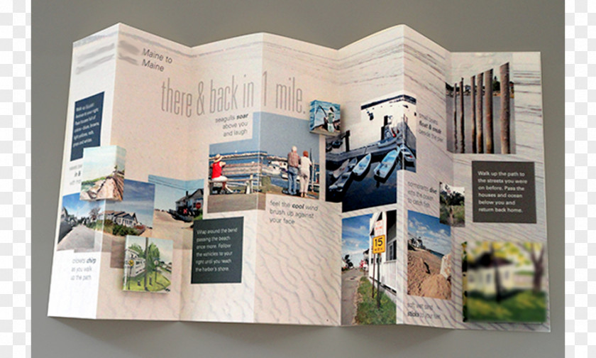 Package Design Brand Brochure PNG