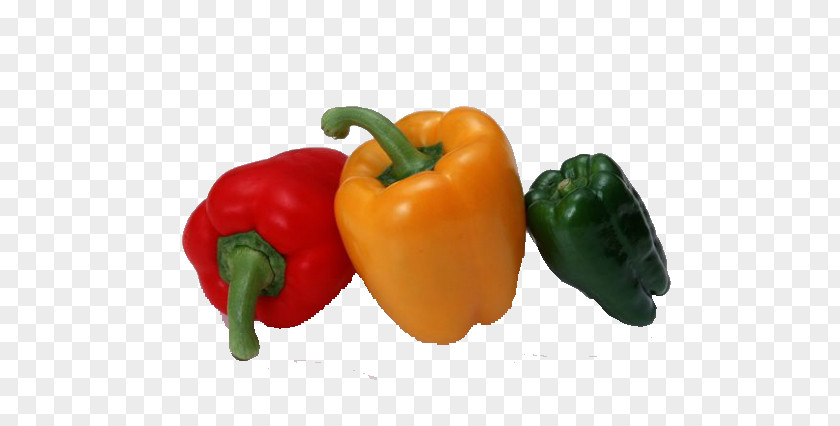 Three Kinds Of Pepper Bell Facing Heaven Fried Fish Vegetable Slice PNG