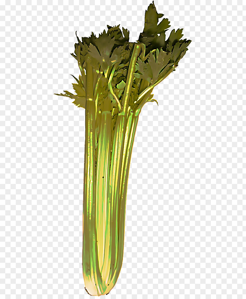 Vascular Plant Vase Spring Background PNG