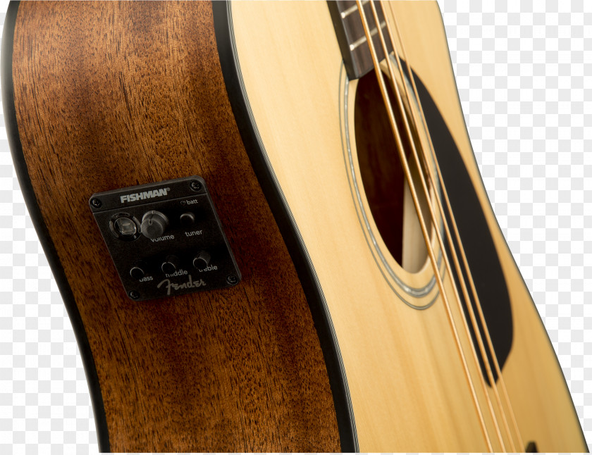 Acoustic Guitar Acoustic-electric Bass Tiple PNG