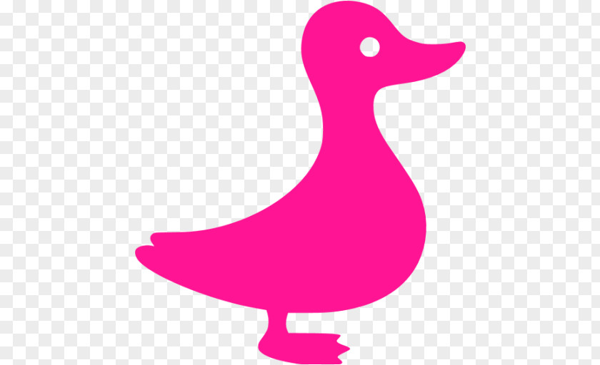 Duck Anseriformes Naver Blog Clip Art PNG