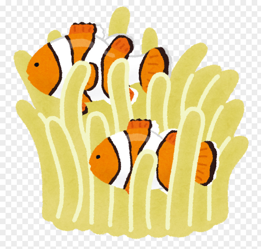 Fish 青の洞窟 Ocellaris Clownfish 待機児童 Chūō Jardin D'enfants PNG