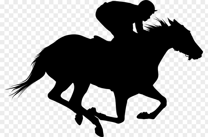 Horse Racing Thoroughbred Clip Art PNG