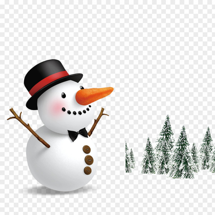 Snowman Cedar Elsa Olaf Make A Costume PNG