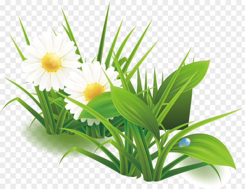 Flowers Wild Lily Modified Elements Green Lilium Flower PNG