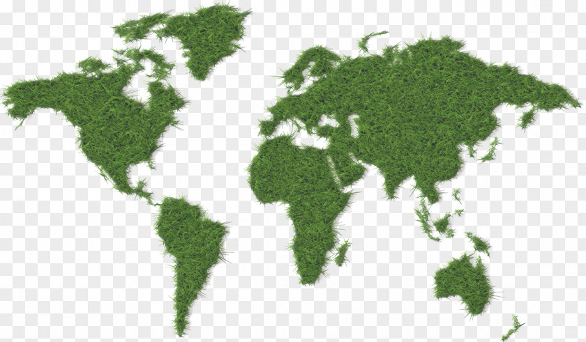 Green World Map Globe Flat Earth PNG