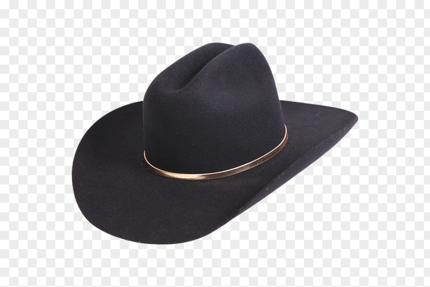 Hat Cowboy Stetson Resistol PNG