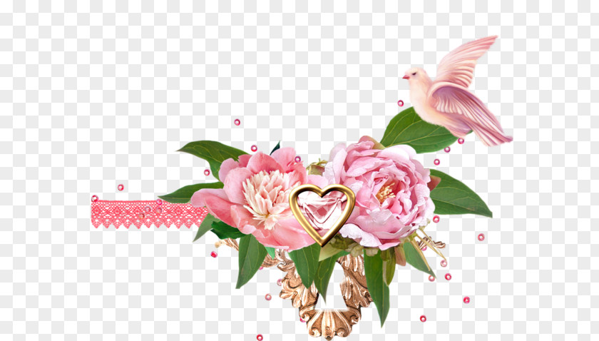 Pink Peony Moutan Rose Floral Design PNG