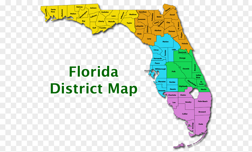School Florida's 10th Congressional District Districts Education PNG