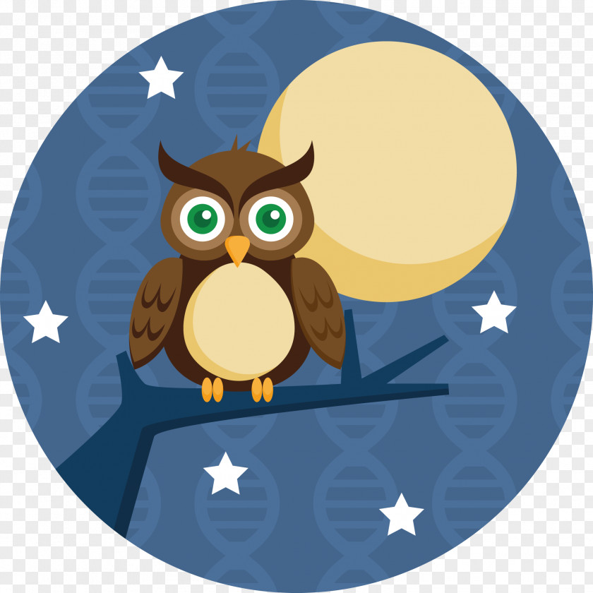 Sleepy Owl Bird PNG