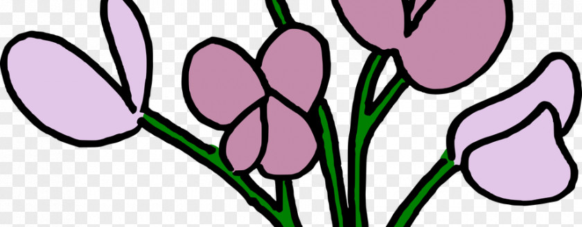 Sweet Pea Watercolour Flowers Tulip Flowering Plant Clip Art PNG