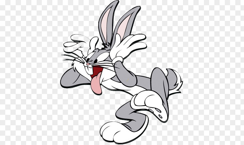 Bugs Bunny Face Sykonist Daffy Duck Elmer Fudd Tweety PNG