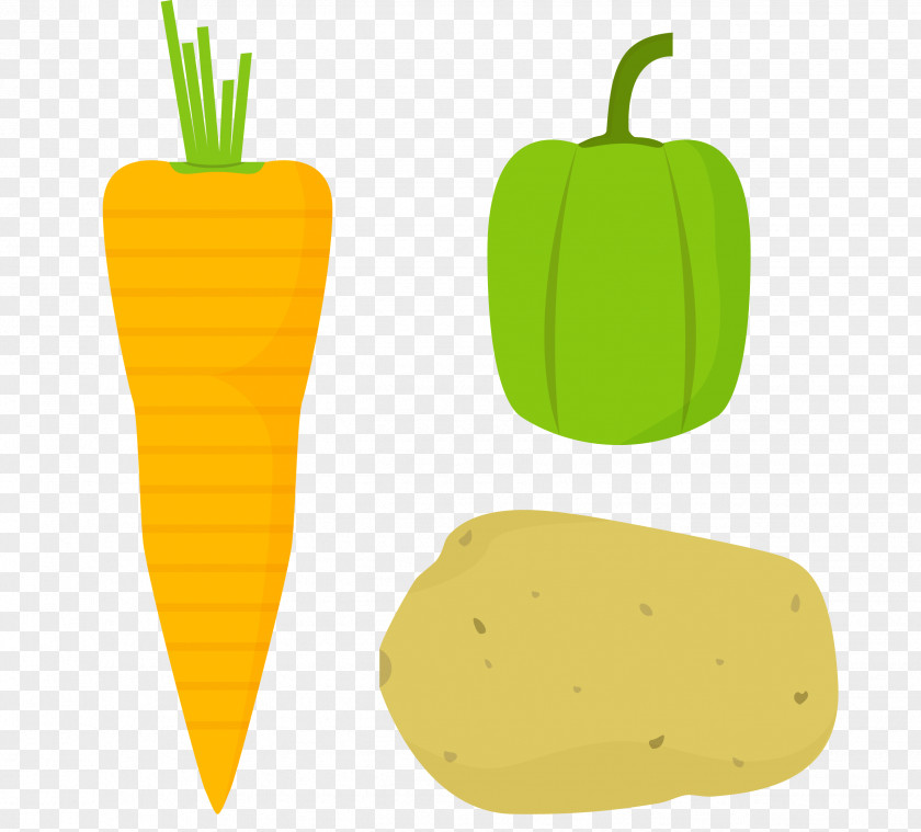 Cartoon Vegetables Carrot Chili Con Carne Winter Squash Vegetable PNG