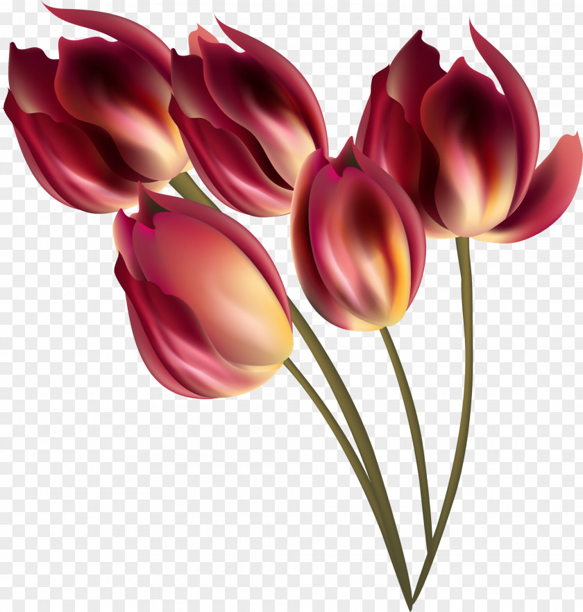Red Bouquet Tulip Flower PNG