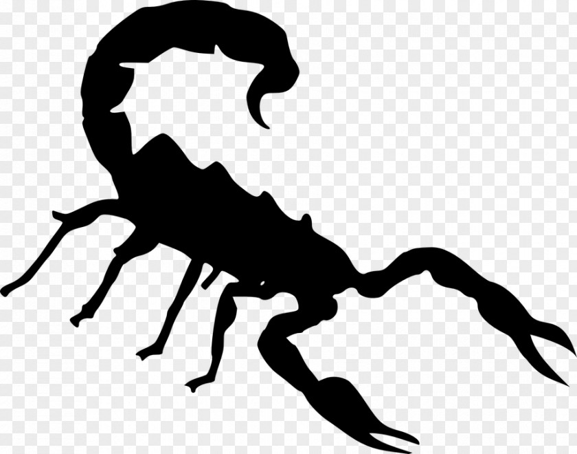 Skorpion Scorpion Clip Art PNG