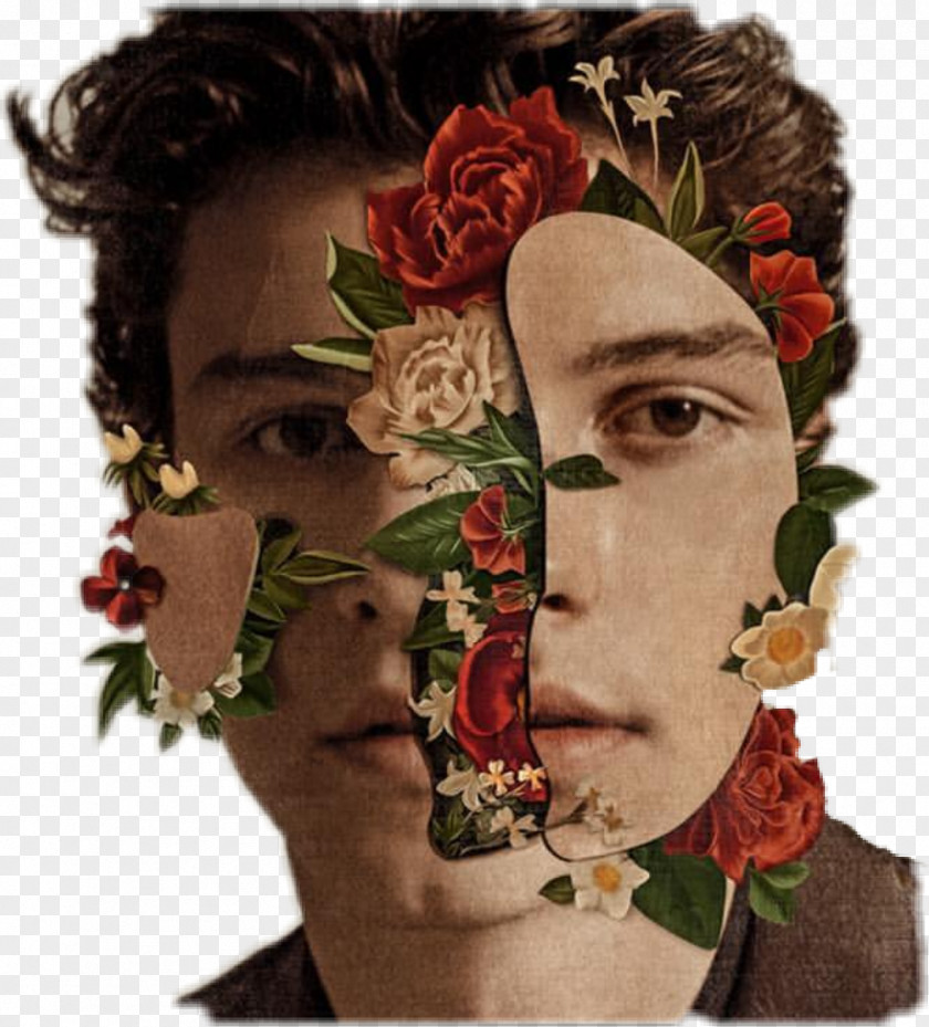 Album Cover Shawn Mendes Nervous Music PNG cover Music, picsart rose clipart PNG