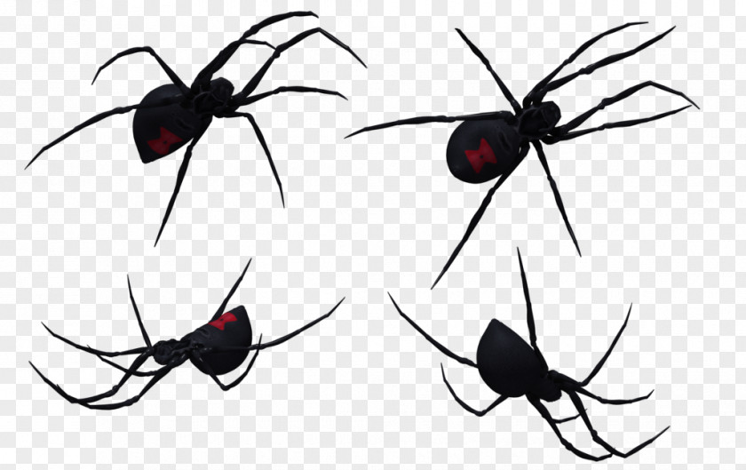 Black Widow Spider Art Spiders Clip PNG