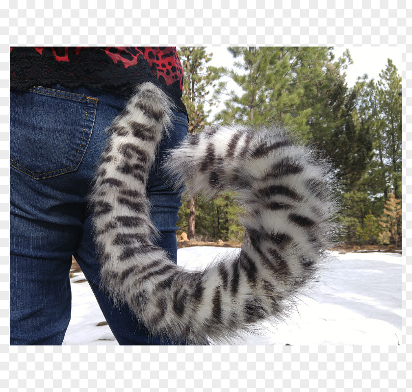 Cat Felidae Leopard Tail Furry Fandom PNG
