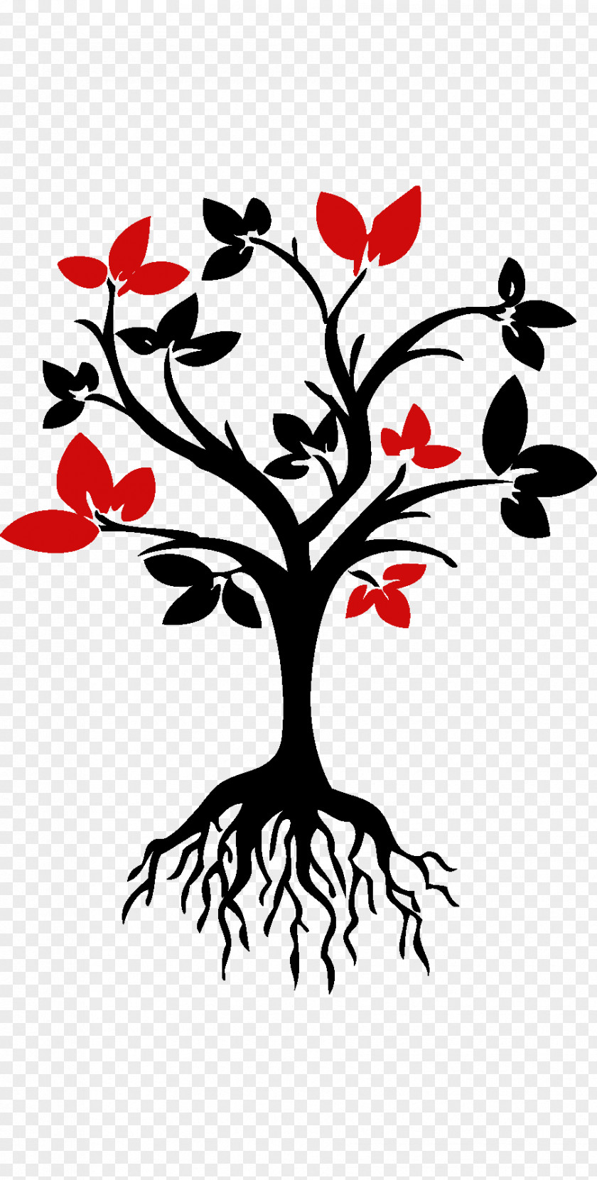 Design Root Clip Art PNG