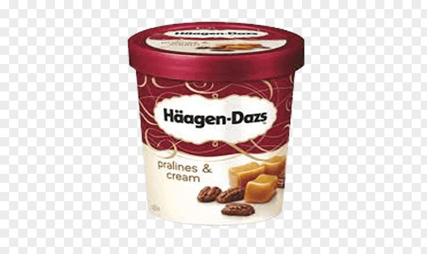 Ice Cream Praline Häagen-Dazs Belgian Chocolate PNG
