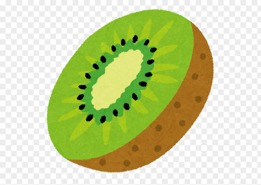 Kiwi Tree Kiwifruit Actinidain Milkshake ほらどキウイマラソン PNG