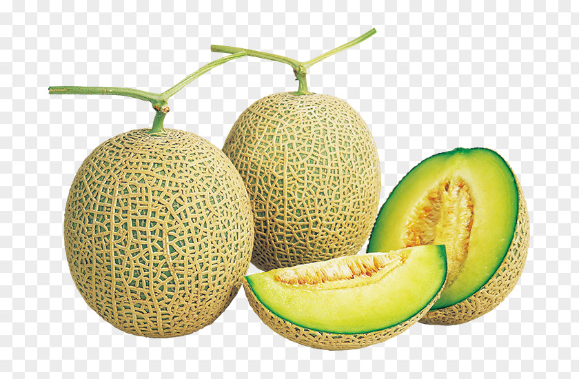 Melon Honeydew Cantaloupe Galia Brix PNG