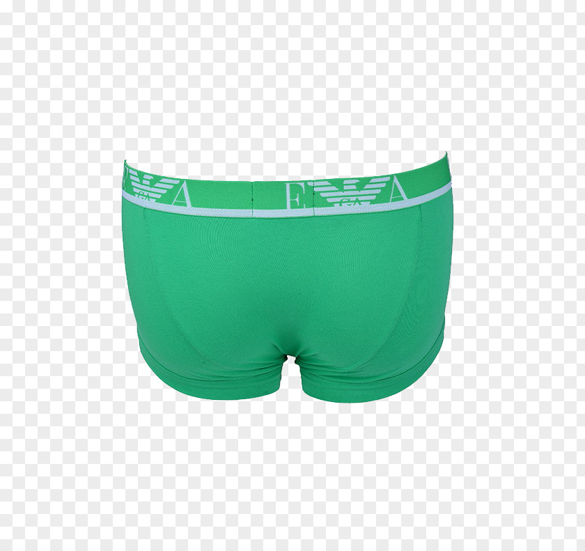 Swim Briefs Trunks Underpants Swimsuit PNG