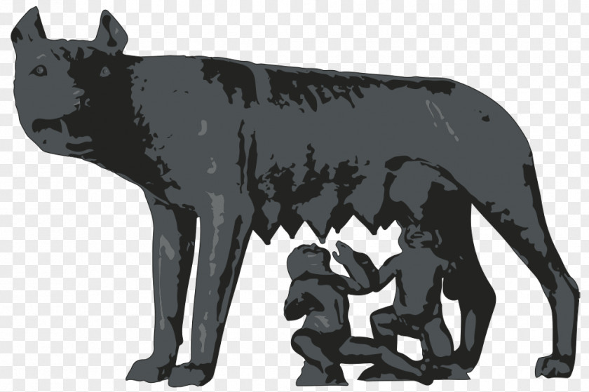 Capitoline Museums Wolf Ancient Rome Gray Romulus And Remus PNG