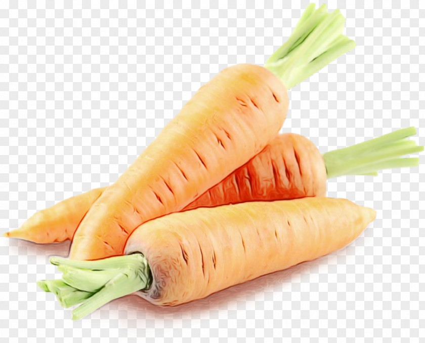 Daikon Parsnip Carrot Food Vegetable Root Prawn Roll PNG