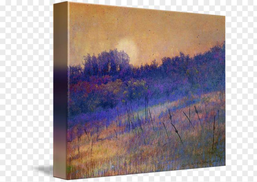 Painting Watercolor Acrylic Paint Resin PNG