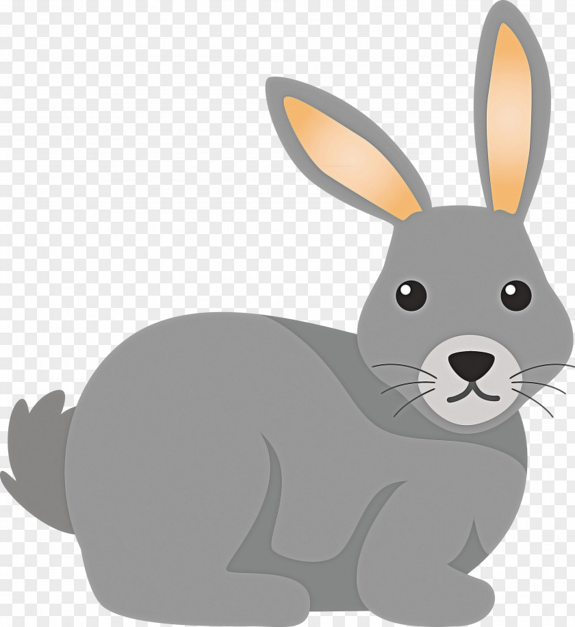 Rabbit Rabbits And Hares Cartoon Hare Snowshoe PNG