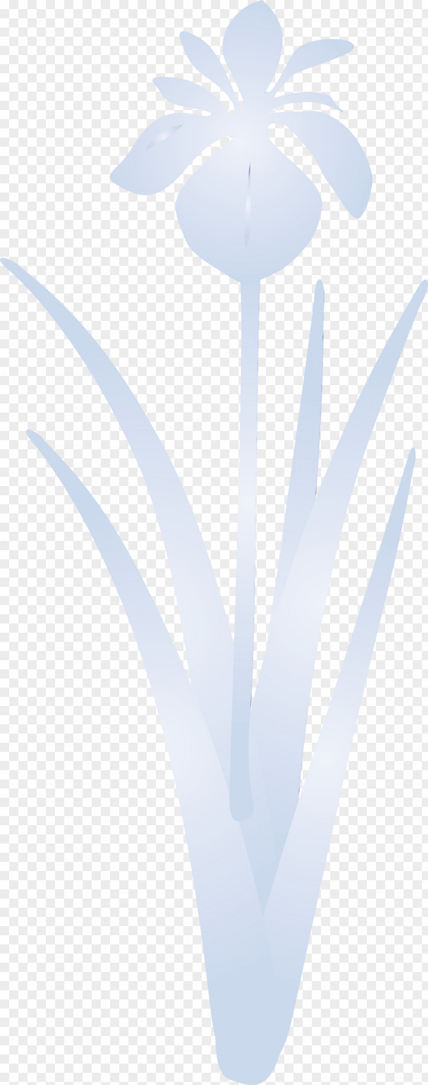 White Plant PNG