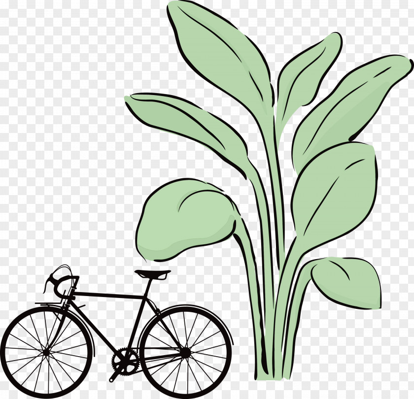 Bicycle Wheel Leaf Grasses Plant Stem PNG