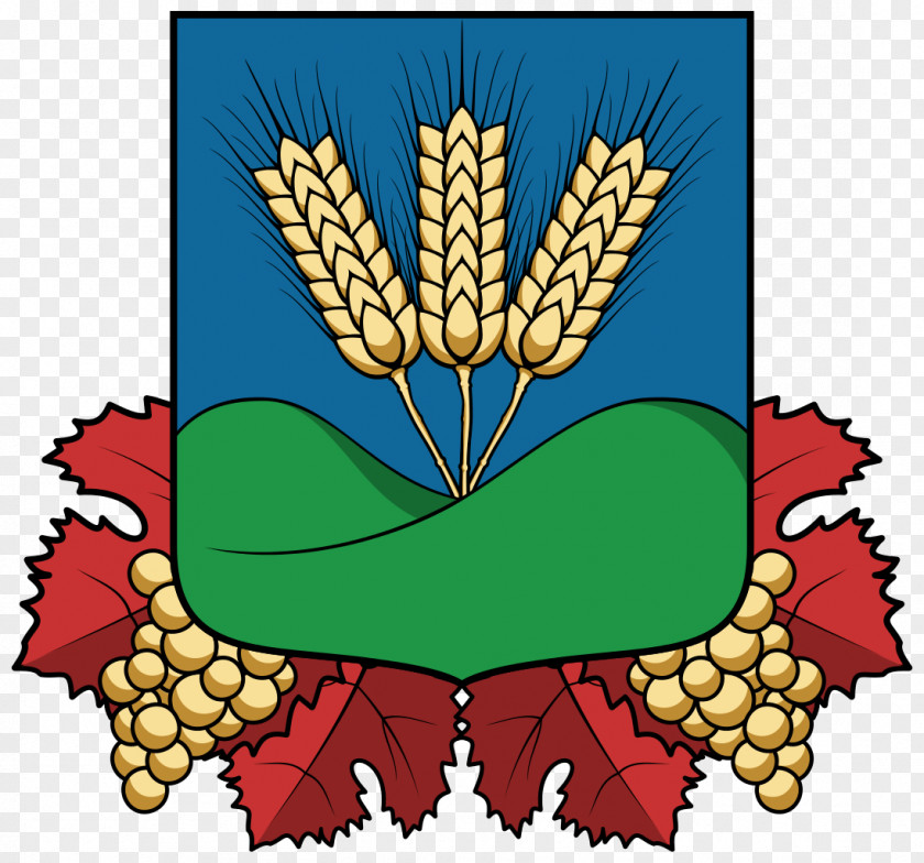 Big Bag Tura Coat Of Arms Címerhatározó Comună Mare Petőfi Tér PNG