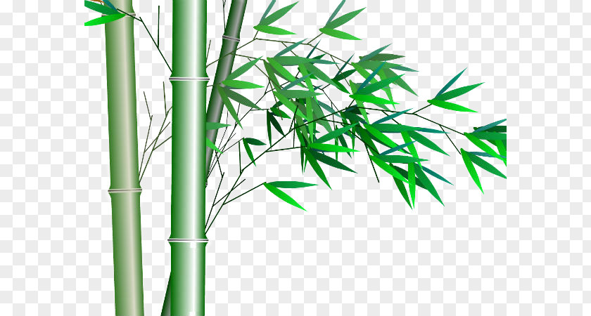 Free Download Material Bamboo Transparency And Translucency PNG