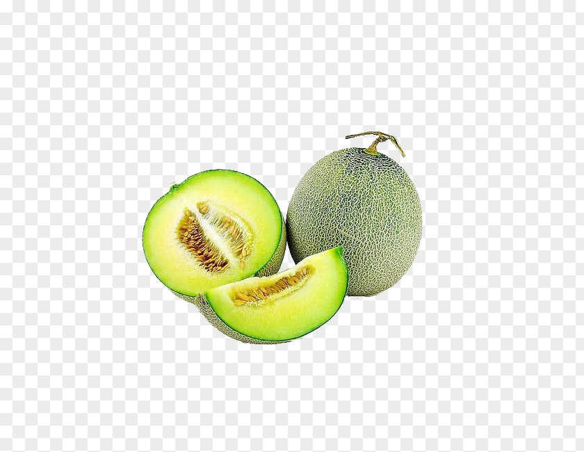 Green Melon Honeydew Haiyang Hami Cantaloupe Galia PNG